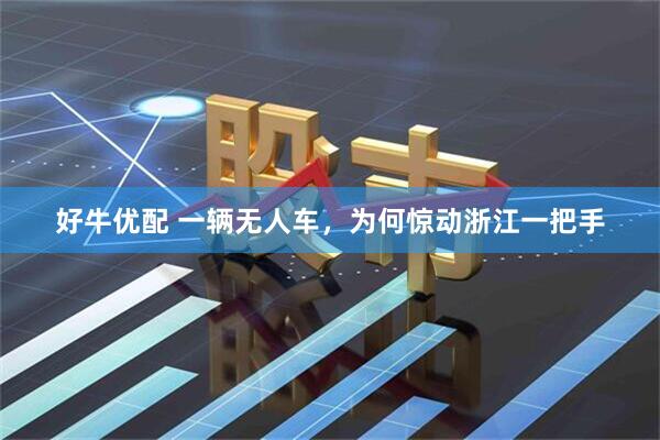 好牛优配 一辆无人车，为何惊动浙江一把手