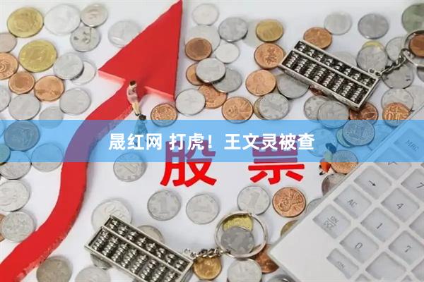 晟红网 打虎！王文灵被查